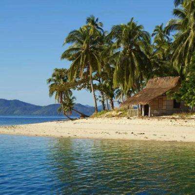 天博国际电子游戏app